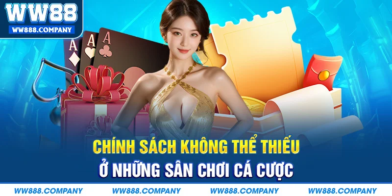 Chính sách không thể thiếu sân cá cược WW88